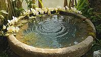 White orchids decorate a stone fountain with ripples in the water, creating a peaceful and zen atmosphere, AI generated [IBR125653435]