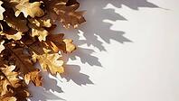 Autumnal composition with dry oak leaves casting shadows on a white background, creating a minimalist and elegant design, AI generated [IBR125653450]