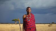Maasai man wearing traditional red and blue clothes and necklaces holding wooden stick standing in african savanna with dramatic sky, AI generated [IBR125653463]