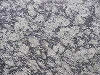 Grey stone texture useful as a background [IBR125654775]