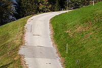 Forest with road in Voldertal, Volders, Tyrol, Austria [IBR125657390]