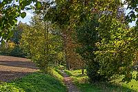 Autumnal hiking trail in Trubachtal, Egloffstein, Upper Franconia, Bavaria, Germany [IBR125657396]