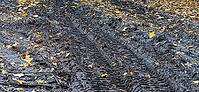A forest path has been completely transformed into deep, wet mud and mud. The distinctive tire tracks (driving lanes) of heavy forest vehicles or tractors have dug deep into the dark ground and leave a striking, textured profile, Berlin, Germany [IBR125657412]