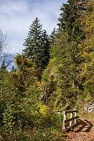 Forest with Karwendel Mountains in the Voldertal, Volders, Tyrol, Austria [IBR125657414]