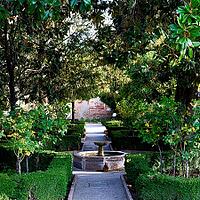 A narrow garden path leads under a dense canopy to a stone fountain, Generalife, Garden of the Sultan, Jardín de la Sultana, Alhambra, Granada, Province of Granada, Andalusia, Spain [IBR125657417]