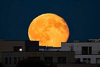 The full moon rises behind the houses of the Riedberg district of Frankfurt. The full moon in October is traditionally also called the hunter's moon, Riedberg, Frankfurt am Main, Hesse, Germany [IBR125657427]