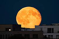 The full moon rises behind the houses of the Riedberg district of Frankfurt. The full moon in October is traditionally also called the hunter's moon, Riedberg, Frankfurt am Main, Hesse, Germany [IBR125657434]