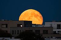 The full moon rises behind the houses of the Riedberg district of Frankfurt. The full moon in October is traditionally also called the hunter's moon, Riedberg, Frankfurt am Main, Hesse, Germany [IBR125657441]