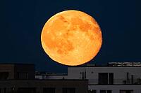 The full moon rises behind the houses of the Riedberg district of Frankfurt. The full moon in October is traditionally also called the hunter's moon, Riedberg, Frankfurt am Main, Hesse, Germany [IBR125657445]