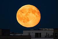 The full moon rises behind the houses of the Riedberg district of Frankfurt. The full moon in October is traditionally also called the hunter's moon, Riedberg, Frankfurt am Main, Hesse, Germany [IBR125657454]