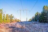 High voltage electricity transmission lines crossing a frost covered forest corridor during winter, Sweden [IBR125659427]
