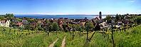 Picturesque panoramic view of the vineyards above Meersburg on Lake Constance. In the foreground, the vines line up on a green slope. The view wanders over the red roofs of the historic old town and the distinctive Roman Catholic parish church. In the bac [IBR125659455]