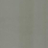 Light grey halftone texture useful as a background [IBR125659477]
