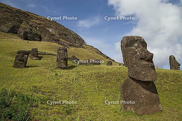 Photograph of the moais at Rano Raraku stone quarry on Easter Island in Chile [IBR121000555]