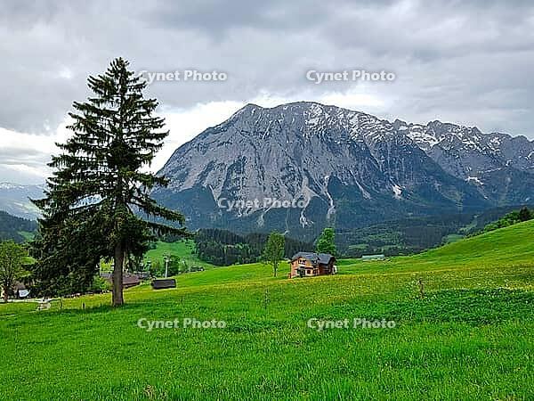 Summer austrian landscape with Grimming mountain (2.351 m), an isolated peak in the Dachstein Mountains, view from small alpine village Tauplitz, Styria, Austria, Europe [IBR122062468]