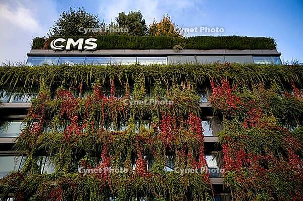 Windows are overgrown, climate-neutral façade greening on the new building, autumn colouring, office building of CMS Hasche Sigle, logo, Calwer Straße, Stuttgart, Baden-Württemberg, Germany [IBR112672595]