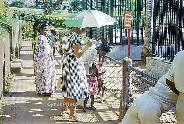 Baby shocked to see white Caucasian woman at zoo, Colombo, Sri Lanka, South Asia, Indian subcontinent, South Asia, 1965 [IBR112672607]