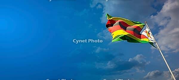 Beautiful national state flag of Zimbabwe with blank space. Zimbabwe flag on wide background with place for text 3D artwork [IBR123569263]