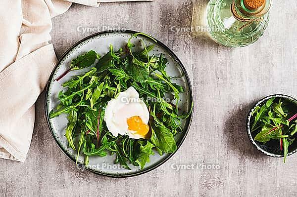 Poached egg in arugula and chard leaves on a plate on a table top view [IBR123629694]