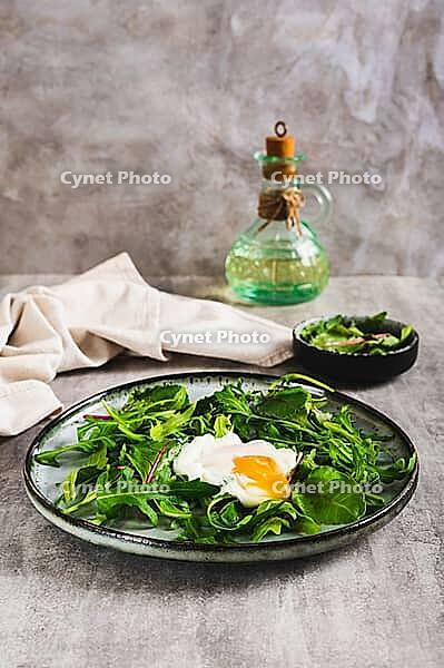 Poached egg in arugula and chard leaves on a plate on a table vertical view [IBR123629700]