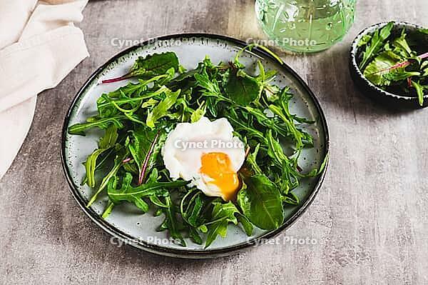 Leafy greens and poached egg on a plate on a table [IBR123629714]