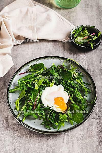 Leafy greens and poached egg on a plate on a table vertical view [IBR123629715]