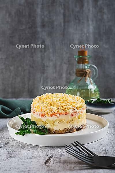 Traditional layered salad with canned fish on a plate on the table vertical view [IBR123629720]