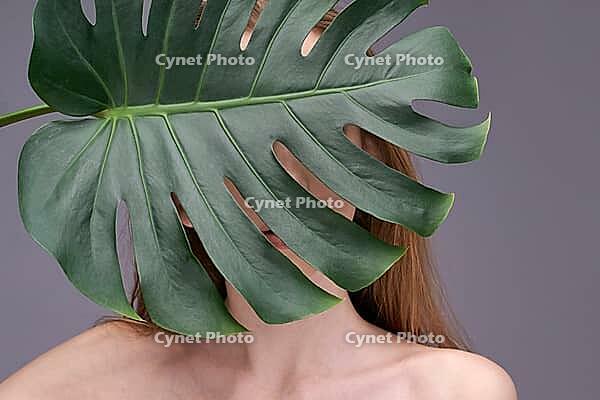 Mysterious young caucasian woman partially hidden behind large monstera leaf against gray background [IBR123629733]