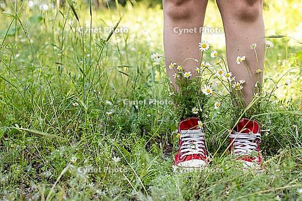 Naked legs in red shoes with a bouquet of white camomiles in green grass. Summer concept [IBR123639492]