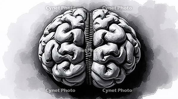 A captivating watercolor painting showcases two brain hemispheres zipped together. The translucent washes and fluid brushstrokes emphasize creativity and detail, inviting reflection on mental unity. AI generated [IBR123641828]