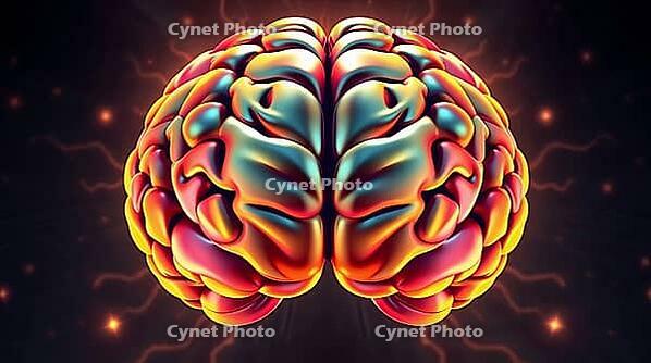 A vibrant and colorful illustration of a human brain showcases intricate details and textures, symbolizing neural connections and brain activity in a dynamic environment. AI generated [IBR123641829]