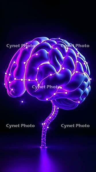 A stylized brain design illuminated in purple and blue hues, showcasing intricate connections and nodes that represent neural pathways. AI generated [IBR123641834]