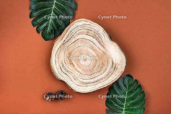 Wooden cross section cut with monstera leaves on brown surface. Showcase for cosmetic products. Natural organic eco-friendly beauty product concept. Overhead view, mockup. Product advertisement [IBR123646497]