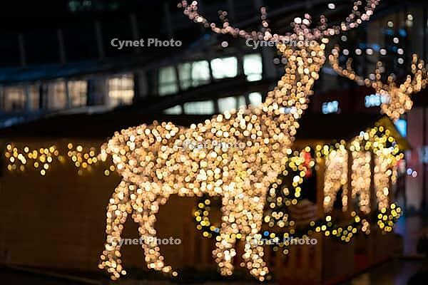 Blurred lights of christmas installation - defocused lights of deer on night city background. Christmas deer installation in Milan, Italy [IBR123646514]
