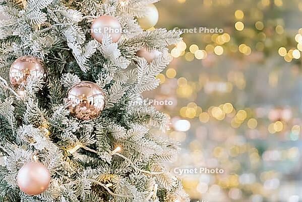 Christmas tree decorated with golden balls on defocused blurred, sparkling, magic background. Merry christmas card. New Year decoration on bokeh backdrop. Copy space [IBR123646515]
