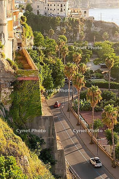 Tropea, Italy - 27.07.2023: Scenic road running along cliffs with cars and motorbike, lined with palm trees, illuminated by warm evening sunlight, creating peaceful coastal atmosphere [IBR123646522]