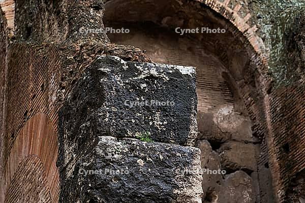 Rome, Italy - 09.12.2022: Ancient stone structure with weathered textures and mossy details in historical setting in Colosseum [IBR123646530]