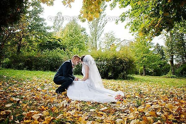Wedding couple sitting at yellow leaves background autumn park [IBR123675071]