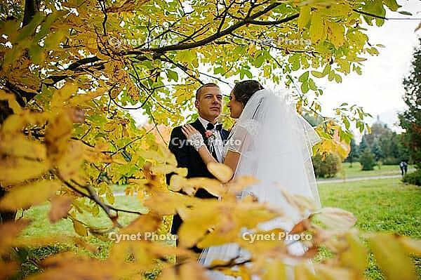 Wedding couple background yellow tree at autumn park [IBR123675075]