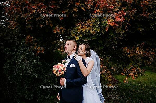 Wedding couple background yellow tree at autumn park [IBR123675076]