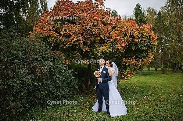 Wedding couple background yellow tree at autumn park [IBR123675077]