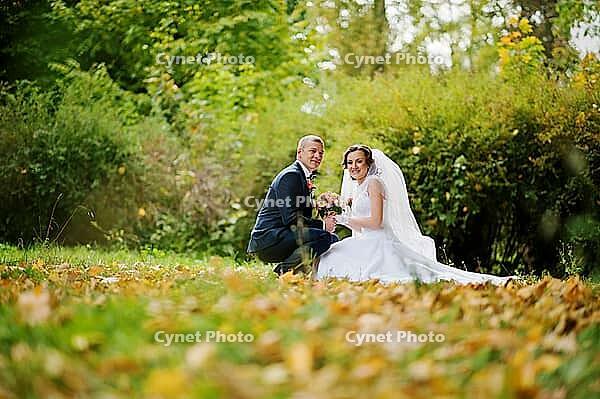 Wedding couple sitting at yellow leaves background autumn park [IBR123675078]