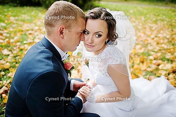 Wedding couple sitting at yellow leaves background autumn park [IBR123675079]