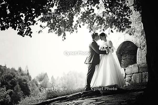 Wedding couple under tree [IBR123675089]