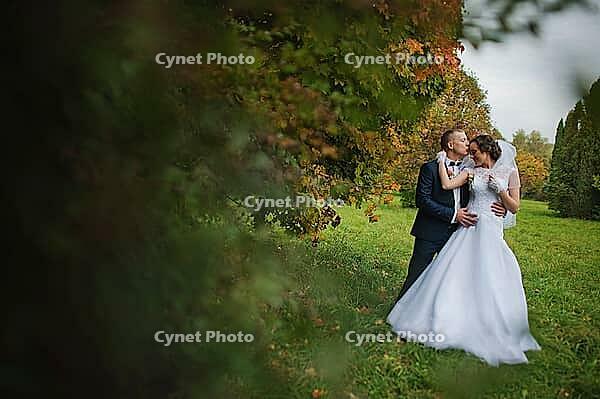 Wedding couple background yellow tree at autumn park [IBR123675101]