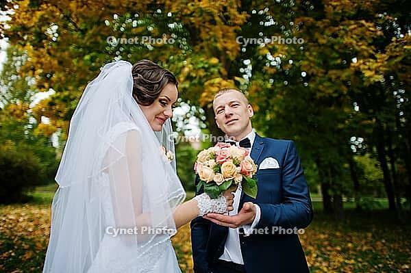 Wedding couple background yellow tree at autumn park [IBR123675104]