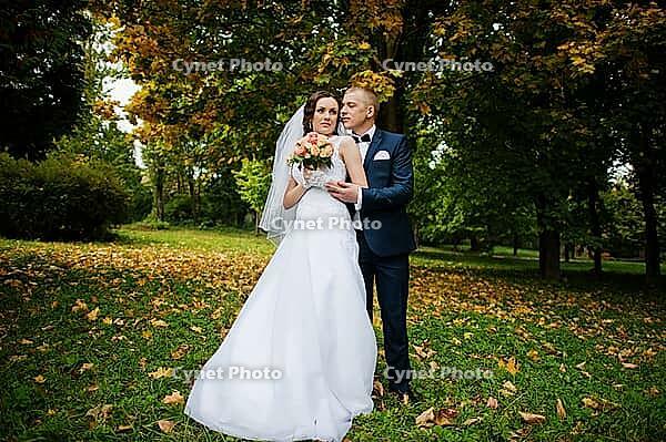 Wedding couple background yellow tree at autumn park [IBR123675108]