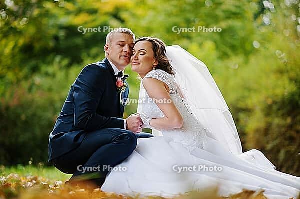 Wedding couple sitting at yellow leaves background autumn park [IBR123675110]