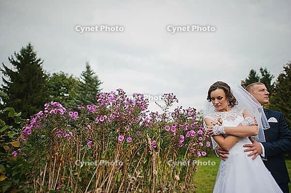 Wedding couple background violet flowers [IBR123675111]