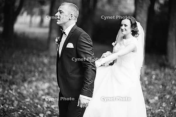 Wedding couple background brushes at autumn park [IBR123675113]